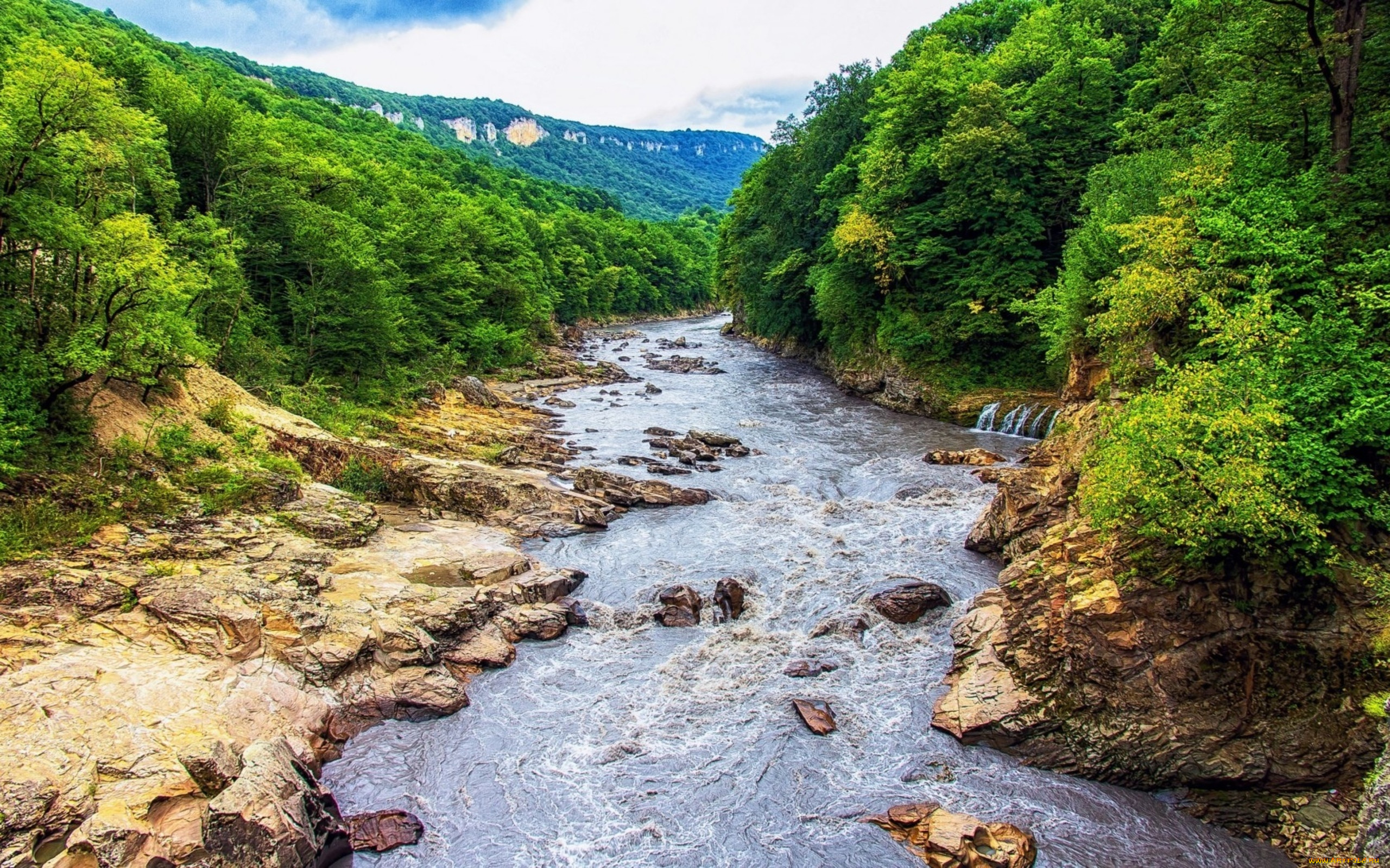 Леса и реки адыгеи. Горный ручей Абхазия. Река белая Адыгея. Горные реки Краснодарского края. Гранитный каньон Адыгея.